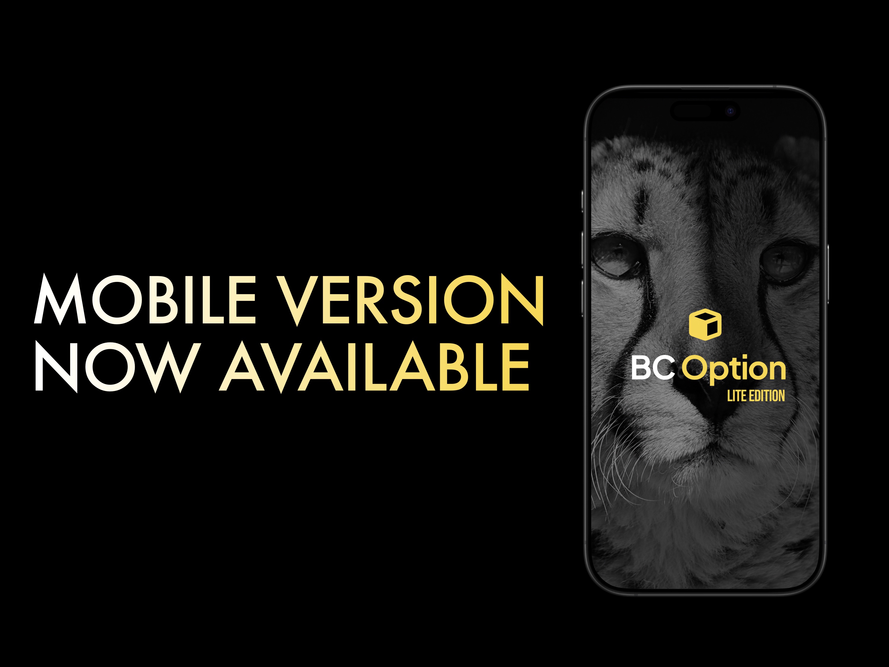 BC Mobile version preview